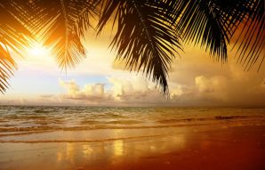 Фотообои Вечерний отдых под пальмами