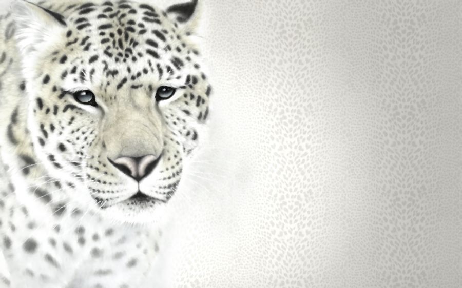 Фреска Леопард